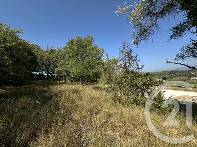 Terrain &agrave; vendre - 2250 m2 - Mougins - 06 - PROVENCE-ALPES-COTE-D-AZUR