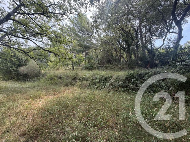 Terrain &agrave; vendre - 2250 m2 - Mougins - 06 - PROVENCE-ALPES-COTE-D-AZUR