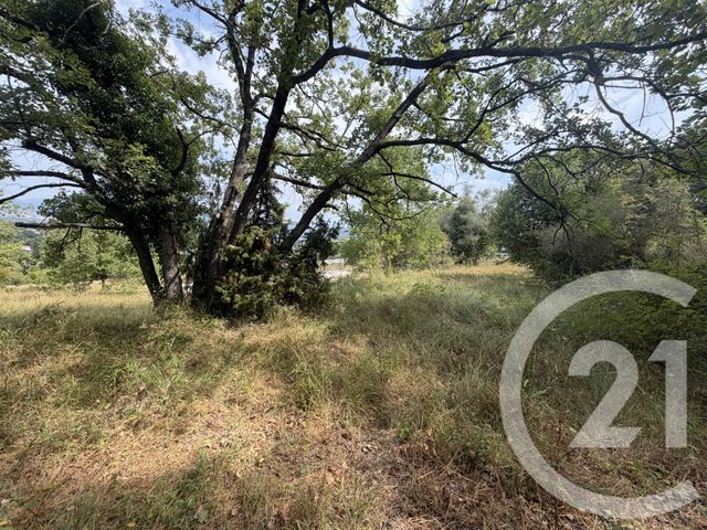 Terrain &agrave; vendre - 2250 m2 - Mougins - 06 - PROVENCE-ALPES-COTE-D-AZUR