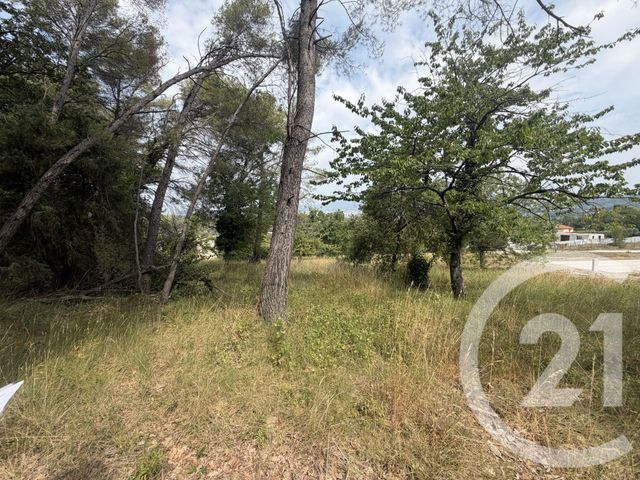 Terrain &agrave; vendre - 2250 m2 - Mougins - 06 - PROVENCE-ALPES-COTE-D-AZUR