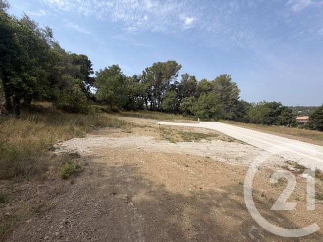 Terrain &agrave; vendre - 2433 m2 - Mougins - 06 - PROVENCE-ALPES-COTE-D-AZUR