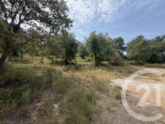 Terrain &agrave; vendre - 2433 m2 - Mougins - 06 - PROVENCE-ALPES-COTE-D-AZUR