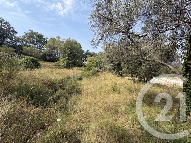 Terrain &agrave; vendre - 2433 m2 - Mougins - 06 - PROVENCE-ALPES-COTE-D-AZUR