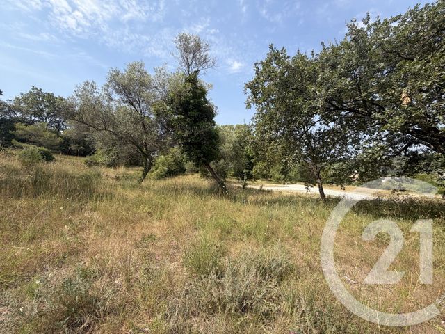 Terrain &agrave; vendre - 2433 m2 - Mougins - 06 - PROVENCE-ALPES-COTE-D-AZUR
