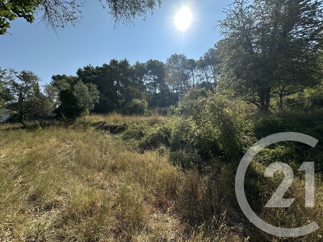 terrain - MOUGINS - 06