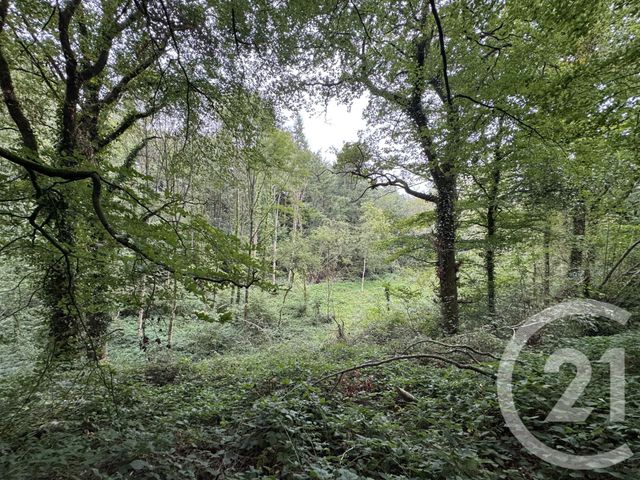 Maison à vendre - 4 pièces - 65,44 m2 - Dompierre - 61 - BASSE-NORMANDIE