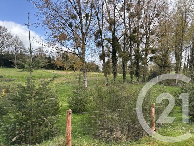 Maison &agrave; vendre - 5 pi&egrave;ces - 125,76 m2 - Rives D Andaine - 61 - BASSE-NORMANDIE