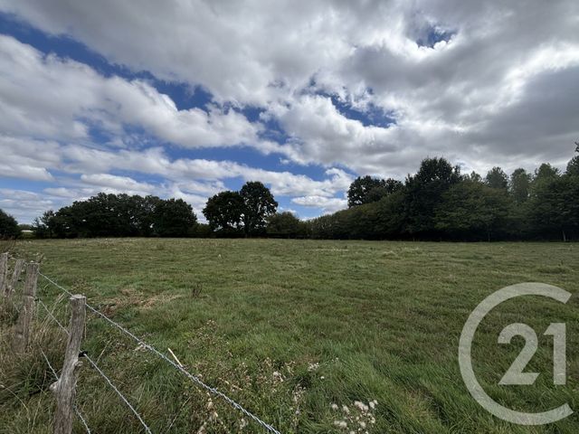 Maison &agrave; vendre - 9 pi&egrave;ces - 150,88 m2 - Juvigny Val D Andaine - 61 - BASSE-NORMANDIE