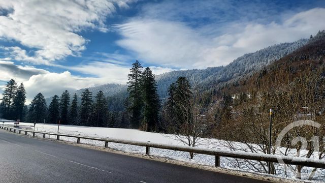 Appartement à vendre - 2 pièces - 21 m2 - La Bresse - 88 - LORRAINE