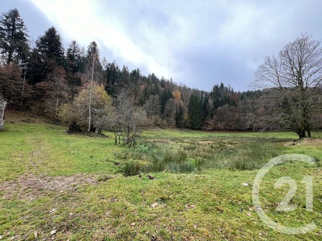 Terrain &agrave; vendre - 5150 m2 - Thiefosse - 88 - LORRAINE