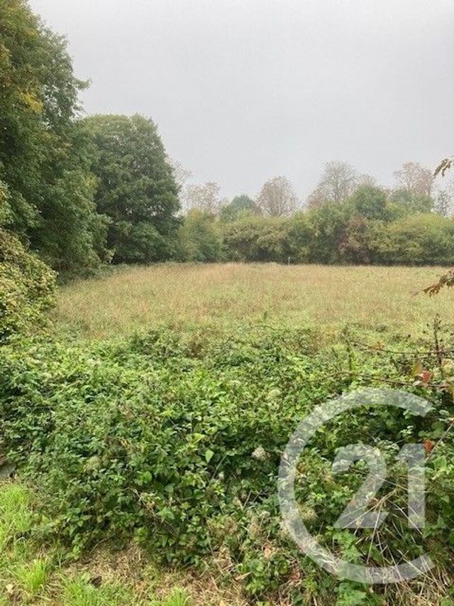 Maison à vendre - 7 pièces - 124,79 m2 - Boissy St Leger - 94 - ILE-DE-FRANCE