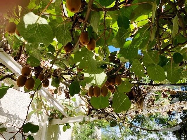 Maison à vendre - 6 pièces - 159,70 m2 - Polliat - 01 - RHONE-ALPES