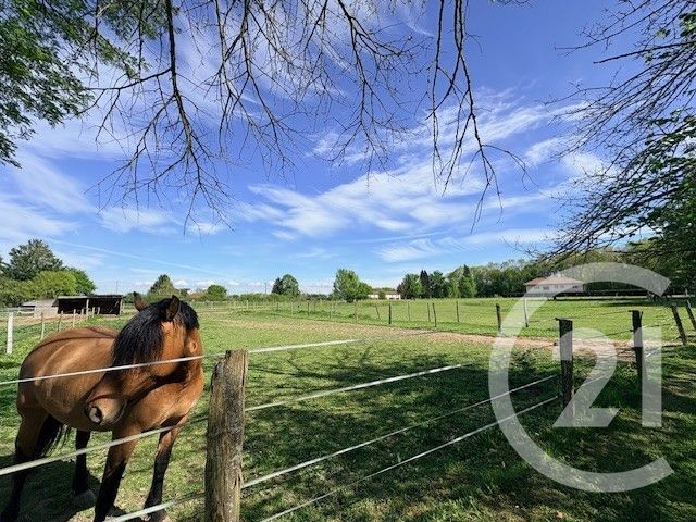 Maison &agrave; vendre - 12 pi&egrave;ces - 326 m2 - Dompierre Sur Veyle - 01 - RHONE-ALPES