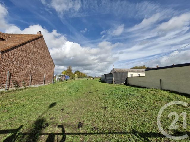 terrain - ALBERT - 80