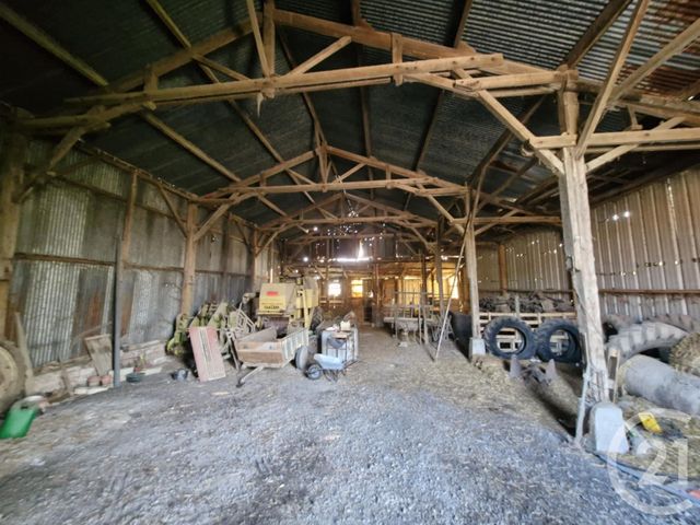 divers - ALBERT - 80