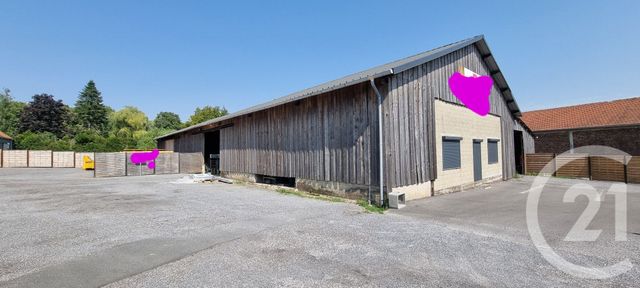 divers - ALBERT - 80