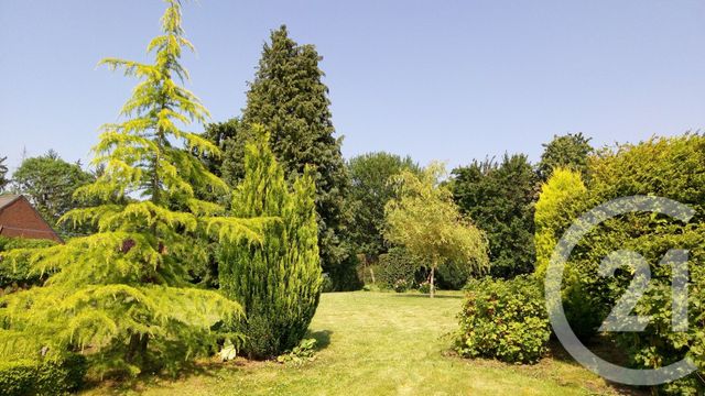 Maison &agrave; vendre - 8 pi&egrave;ces - 232 m2 - Albert - 80 - PICARDIE