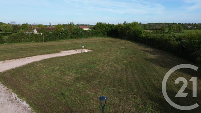 terrain - THUREY - 71