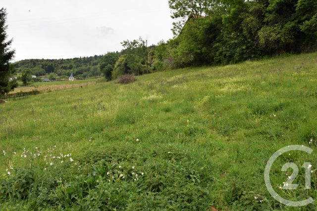Terrain &agrave; vendre - 5142 m2 - Chapareillan - 38 - RHONE-ALPES