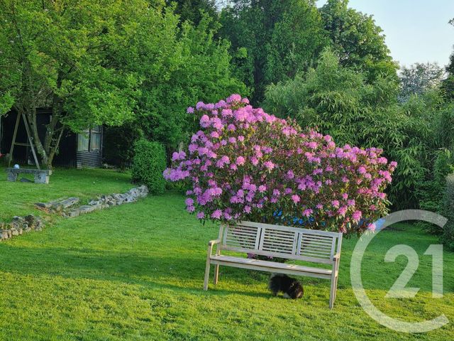 Maison à vendre - 17 pièces - 285,23 m2 - Rousies - 59 - NORD-PAS-DE-CALAIS