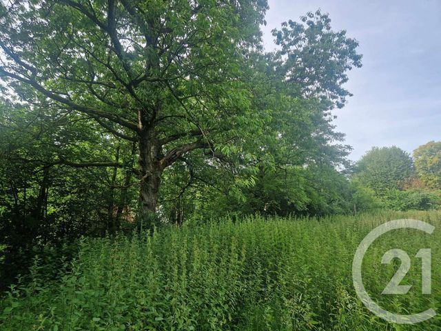 Terrain &agrave; vendre - 3734 m2 - Cormont - 62 - NORD-PAS-DE-CALAIS