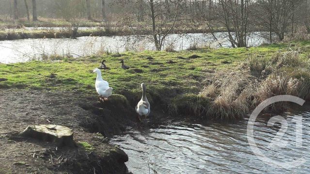 Terrain &agrave; vendre - 16361 m2 - Montreuil Sur Mer - 62 - NORD-PAS-DE-CALAIS