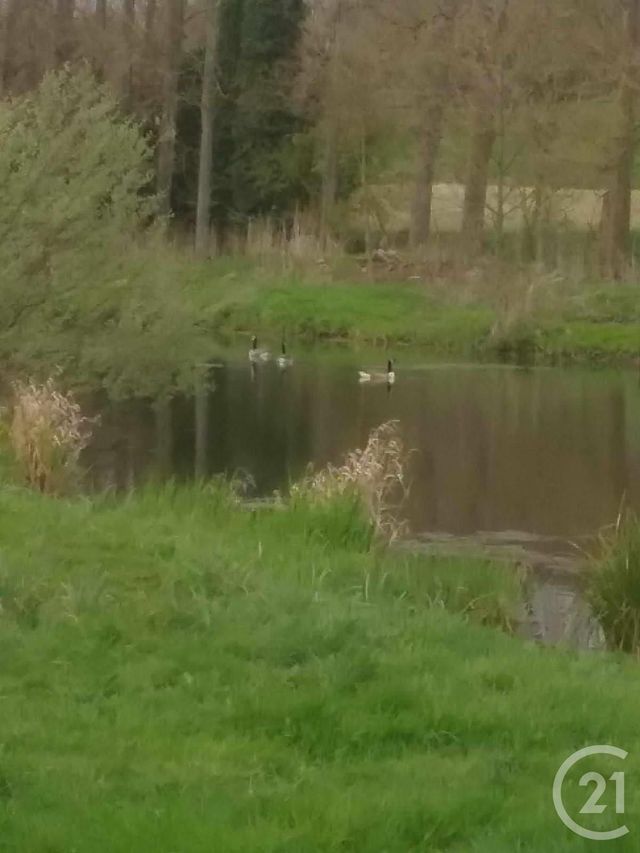 Terrain &agrave; vendre - 16361 m2 - Montreuil Sur Mer - 62 - NORD-PAS-DE-CALAIS