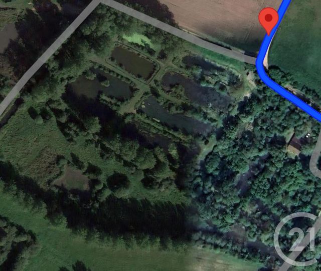 Terrain &agrave; vendre - 16361 m2 - Montreuil Sur Mer - 62 - NORD-PAS-DE-CALAIS