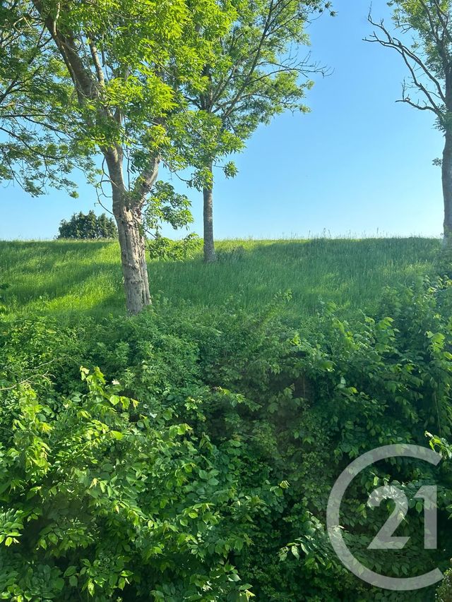 Appartement F4 &agrave; louer - 4 pi&egrave;ces - 82,85 m2 - Montreuil - 62 - NORD-PAS-DE-CALAIS