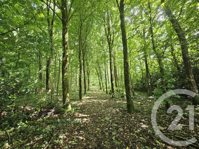 Maison à vendre - 6 pièces - 99,55 m2 - Herly - 62 - NORD-PAS-DE-CALAIS