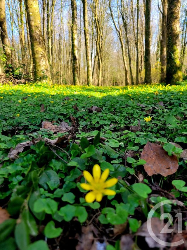 Maison à vendre - 6 pièces - 99,55 m2 - Herly - 62 - NORD-PAS-DE-CALAIS