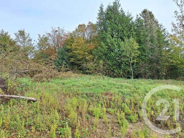 Terrain &agrave; vendre - 1000 m2 - Marles Sur Canche - 62 - NORD-PAS-DE-CALAIS