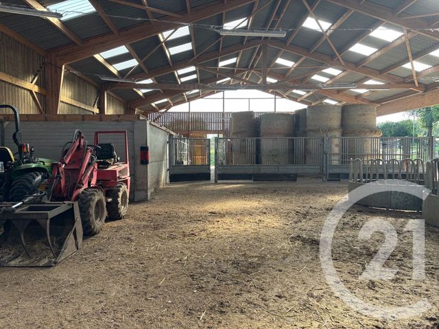 Maison à vendre - 11 pièces - 198 m2 - Longfosse - 62 - NORD-PAS-DE-CALAIS