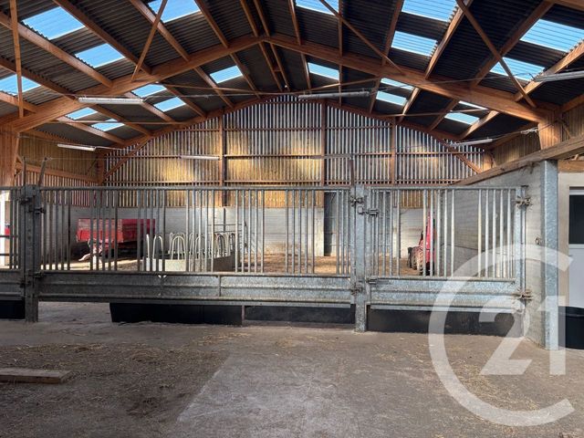 Maison à vendre - 11 pièces - 198 m2 - Longfosse - 62 - NORD-PAS-DE-CALAIS