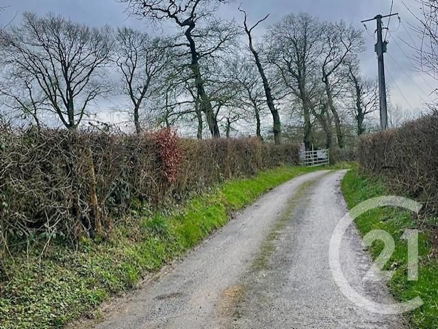 Terrain &agrave; vendre - 8770 m2 - Bourthes - 62 - NORD-PAS-DE-CALAIS