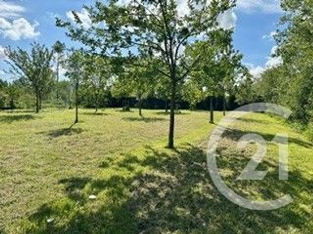 Terrain &agrave; vendre - 3700 m2 - La Calotterie - 62 - NORD-PAS-DE-CALAIS