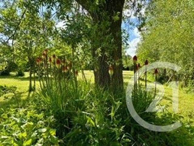 Terrain &agrave; vendre - 3700 m2 - La Calotterie - 62 - NORD-PAS-DE-CALAIS