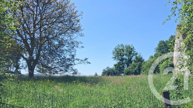 Terrain &agrave; vendre - 2934 m2 - Argoules - 80 - PICARDIE