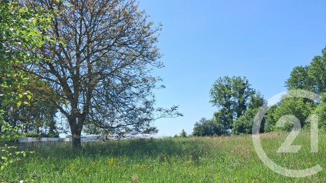 Terrain &agrave; vendre - 2934 m2 - Argoules - 80 - PICARDIE