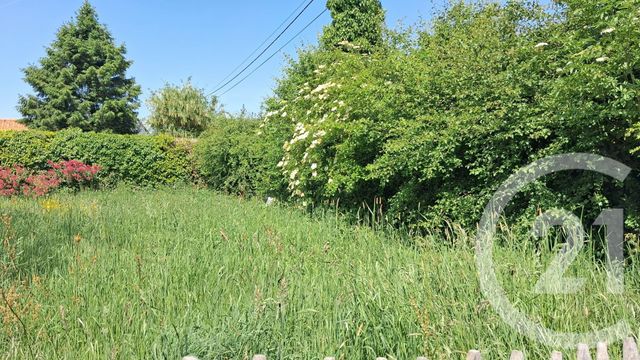 Terrain &agrave; vendre - 2934 m2 - Argoules - 80 - PICARDIE