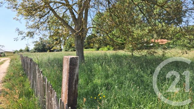 Terrain &agrave; vendre - 2934 m2 - Argoules - 80 - PICARDIE