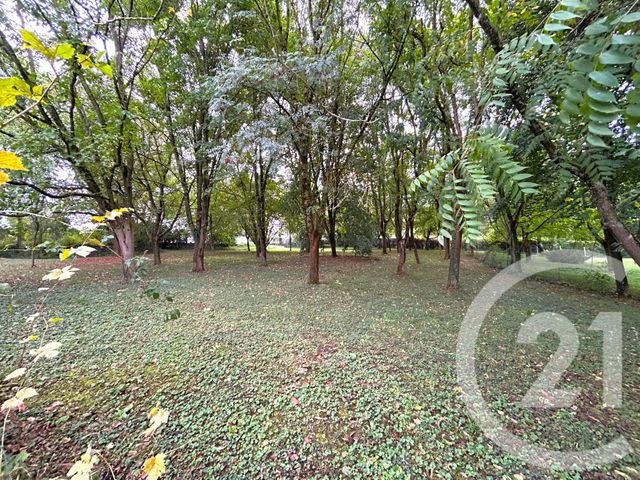 Maison à vendre - 6 pièces - 131,15 m2 - Pithiviers Le Vieil - 45 - CENTRE