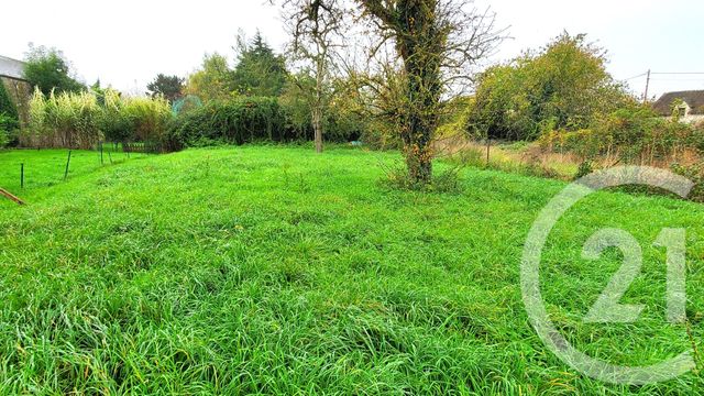 terrain - VILLECONIN - 91