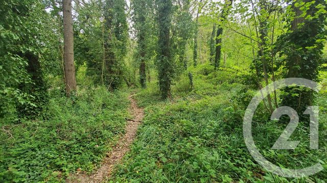 Terrain &agrave; vendre - 3313 m2 - La Ferte Alais - 91 - ILE-DE-FRANCE