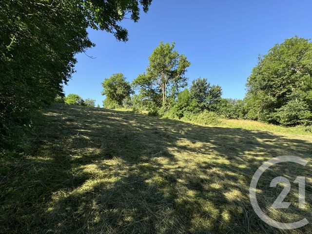 Terrain à vendre LOUDES