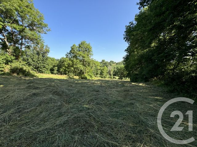 Terrain &agrave; vendre - 2900 m2 - Loudes - 43 - AUVERGNE