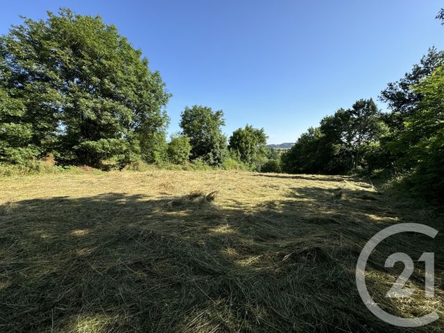 Terrain &agrave; vendre - 2900 m2 - Loudes - 43 - AUVERGNE