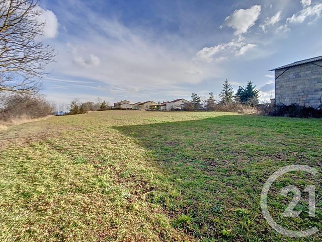 Terrain &agrave; vendre - 5000 m2 - St Vidal - 43 - AUVERGNE