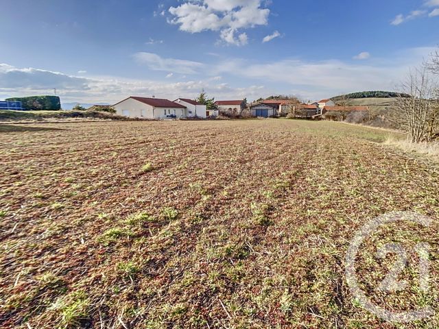 Terrain &agrave; vendre - 5000 m2 - St Vidal - 43 - AUVERGNE