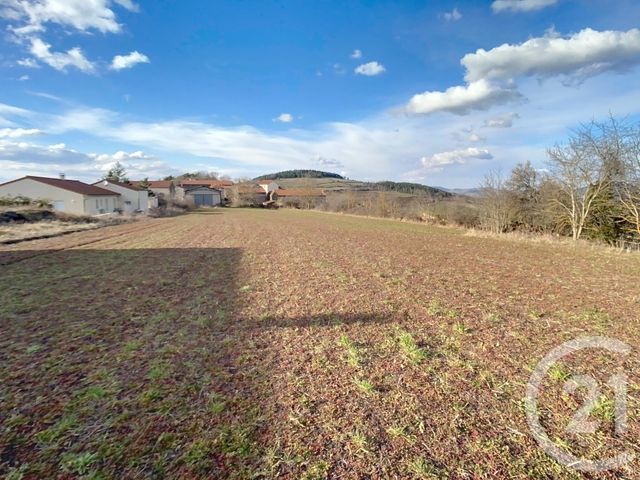 Terrain &agrave; vendre - 5000 m2 - St Vidal - 43 - AUVERGNE